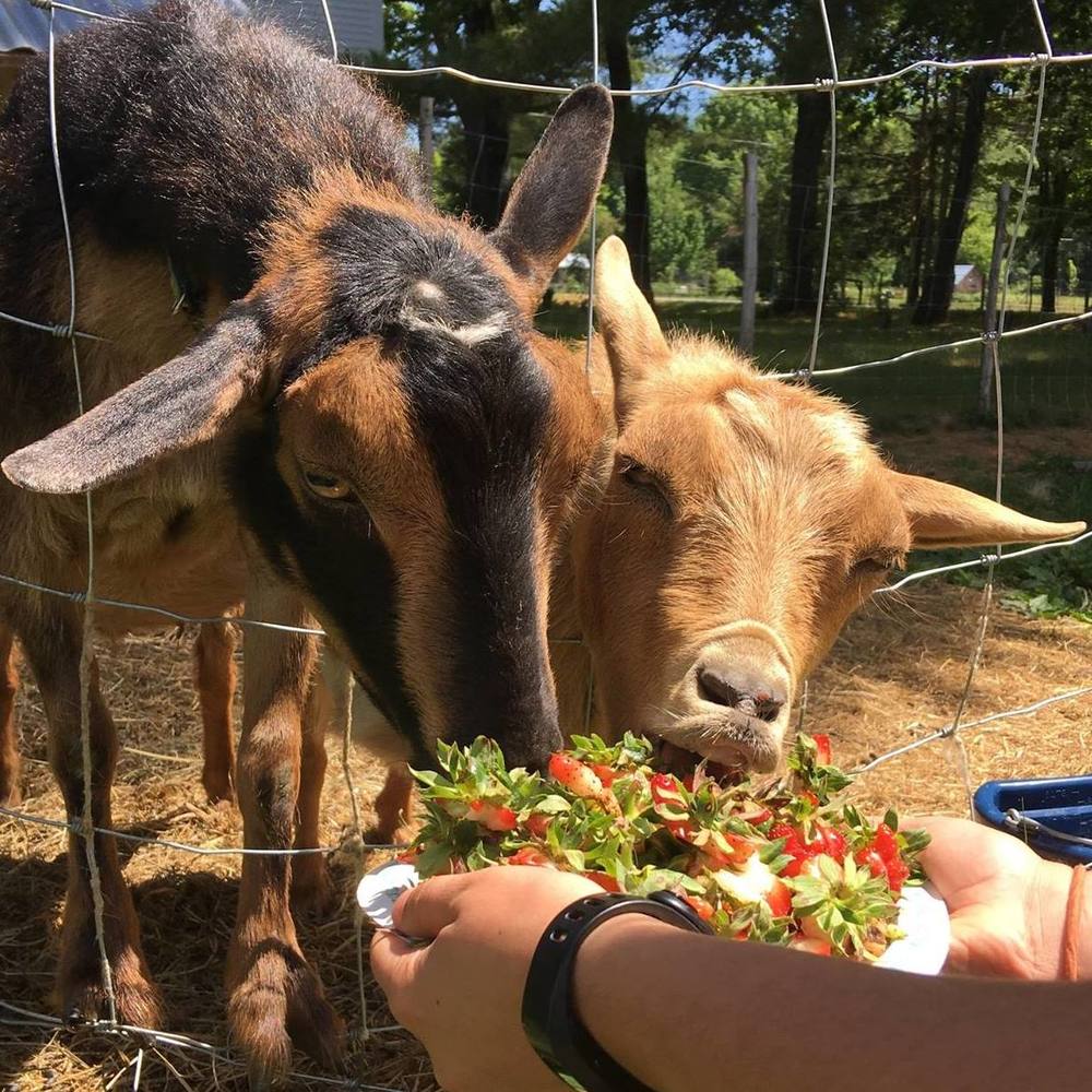 Meet your Posher, Jill